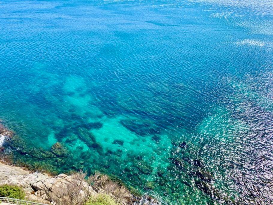 Les Pieds Dans L'Eau, La Tete Dans Les Nuages, Roses Apartment Luaran gambar
